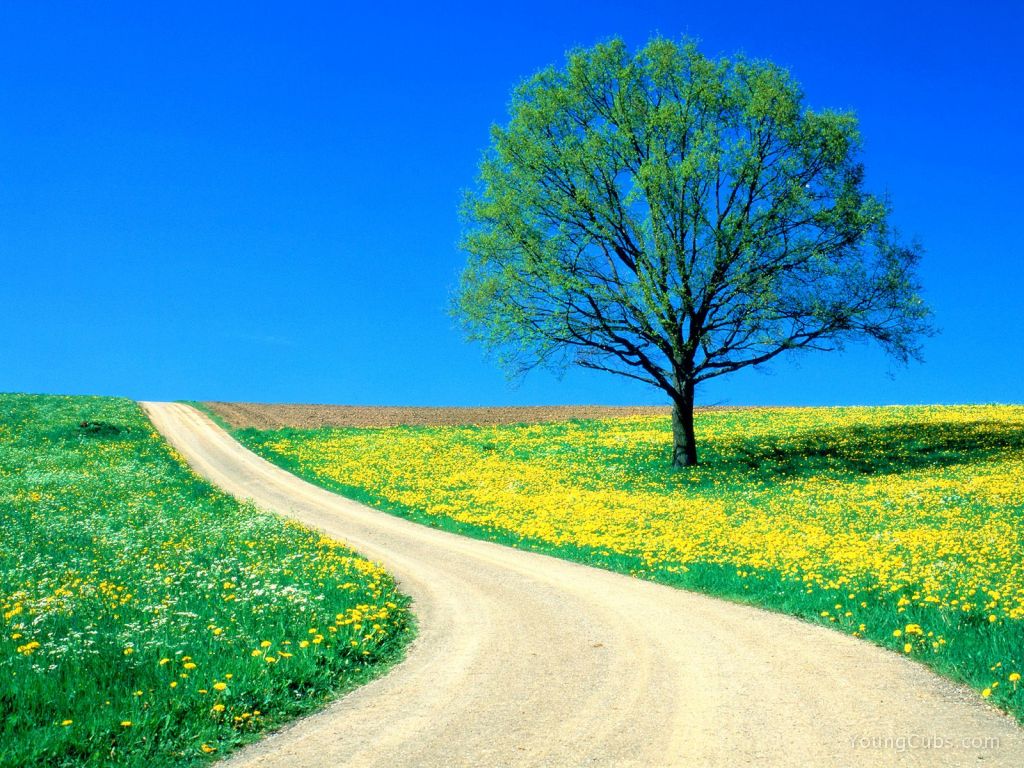 Spring Road